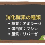 【消化器】消化酵素の種類と機能：アミラーゼ、プシン、リパーゼ