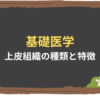 【基礎医学】上皮組織の種類と特徴