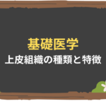 【基礎医学】上皮組織の種類と特徴